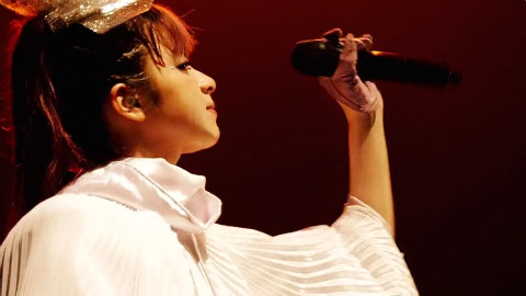 【中字】GARNiDELiA / march【Live part】