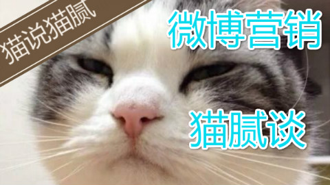 【猫说猫腻】#12 大事件撕逼营销和微博抽奖【如何做碧池】
