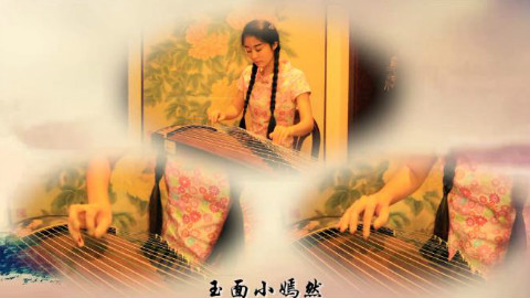 【纯古筝重奏】《依兰爱情故事》