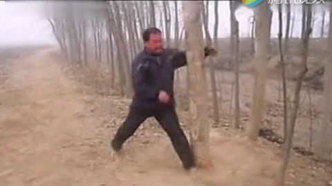 中国传统功夫梅花拳,高手展示桩功
