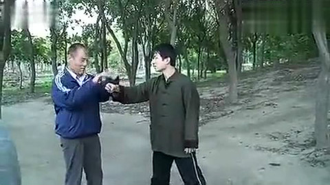 太极也有很强的实战性,老拳师演示招式