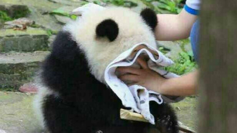 笨死你这都能卡头,你看我!