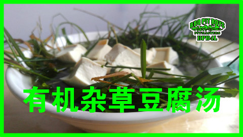 【soso字幕】美国土豪BBQ 有机杂草汤 @BBQPitBoys @Sofronio