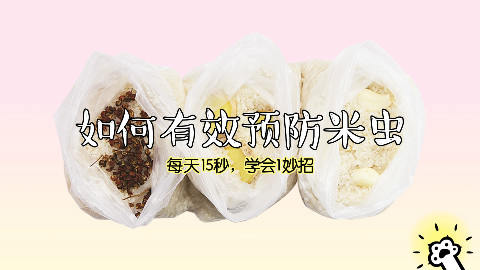 如何有效防止大米生虫