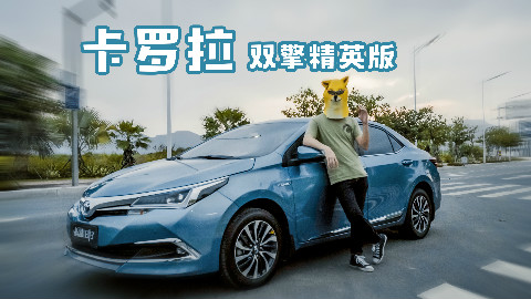 家用神车卡罗拉,双擎油耗太逆天