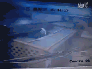 160_90gif 动态图 动图
