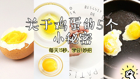 关于鸡蛋的5个秘密你知道多少