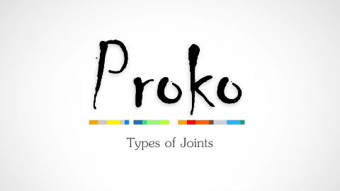 proko的人体解剖课程(熟肉)