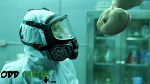 【奇怪的仙人掌】前五名恐怖恶心的人造生物体实验