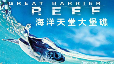 【纪录片】BBC 大堡礁 2012【720P】中文字幕