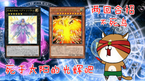 【猫神是游戏王】游戏王 召唤幻神 太阳神的翼神龙卡组介绍