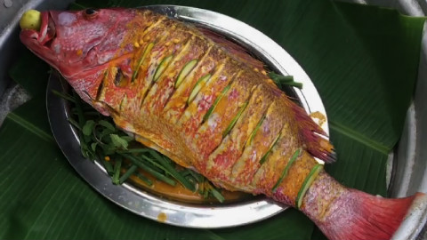 【印度野食】阿三哥清蒸大紅魚