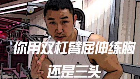 【大树健身】双杠臂屈伸到底练三头好还是胸好