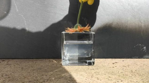 再来看看硫酸是多么的危险,菊花一紧
