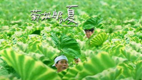 summer——毁歌不倦的咸鱼系列