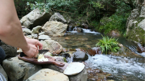春天去山里野餐,欣赏美景还能吃到这种纯野生美味