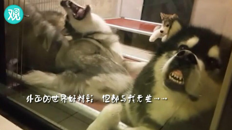 承认吧,这就是带了一天孩子的你!