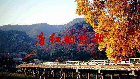 【葛炮】渡月桥·思君