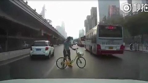 林子大了,什么鸟都有。