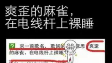 求助!大神这是什么歌? 15分钟爆笑来袭,全程都是笑点!!!