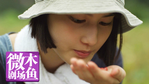 【木鱼微剧场】《小森林冬春篇》