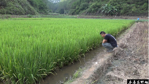 【木易苏野趣】儿时玩具—鱼钳