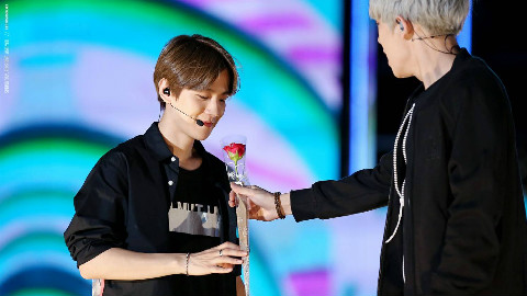 【灿白】----can t stop love---