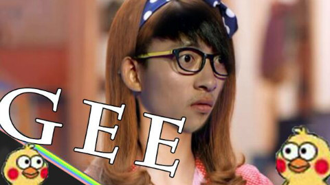 【波澜哥】GEE