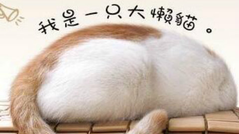 UP^(* ̄(oo) ̄)^个人向的挂机视频