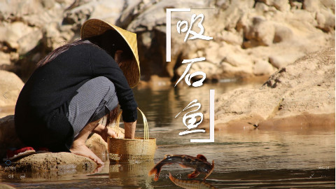 3月阳光正好,下河捉鱼