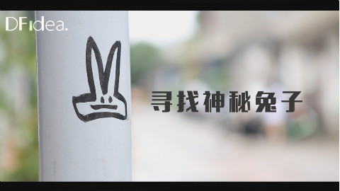 北京胡同的神秘兔子