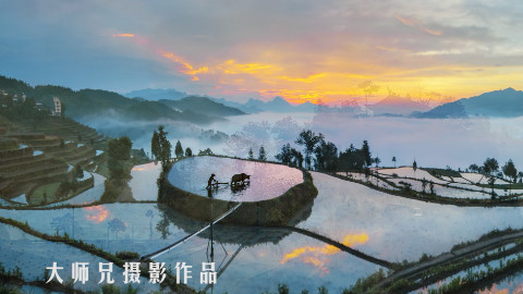 【十点视频】郑山村,我曾在这里诗意地栖居