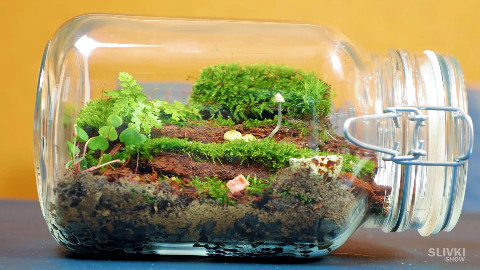 生态缸stepbysteptutorial