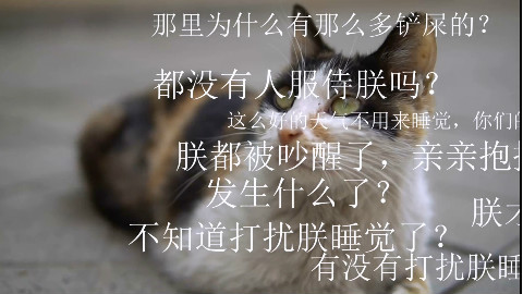 校园急救全记录