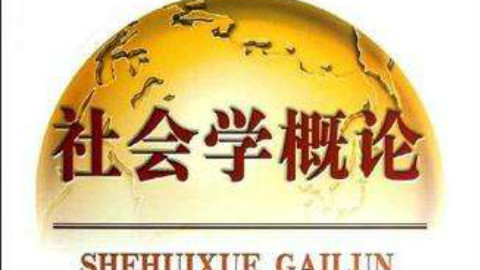 社会学概论 主讲-卢晖临 【全65讲】31-45