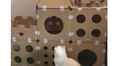 可拆卸的猫咪小屋,设计感满分,承受力超强!
