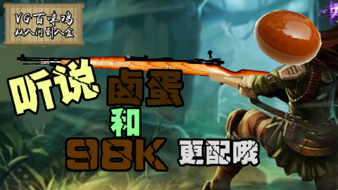 VG百味鸡05:听说卤蛋和98卡是绝配