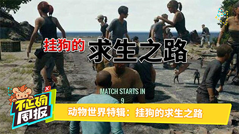 【不正确周报】第四十期:动物世界特辑:挂狗的求生之路