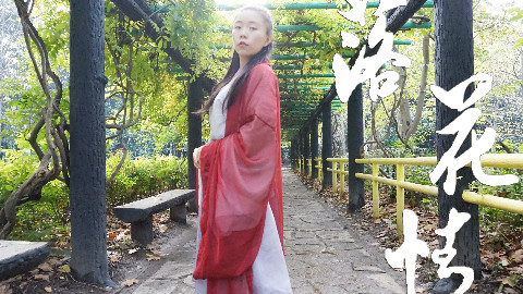 【008】❀落花情❀A站初投稿,大家多多指教~
