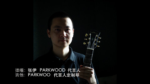 弹唱教学视频系列之八《故乡》 by张伊