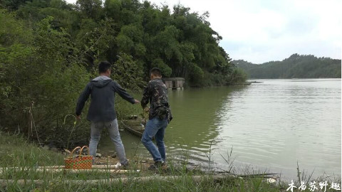 【木易苏野趣】随拍、去水库摘点东西送给你们