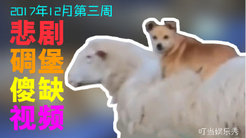悲剧碉堡傻缺视频【2017年12月第三周】