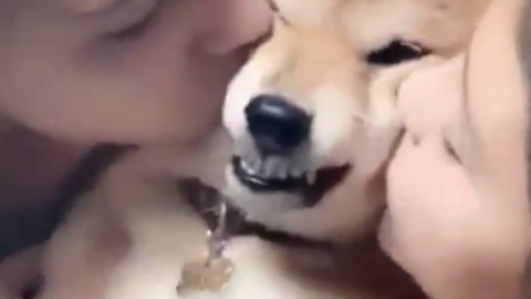狗子:再亲我我就要生气了!