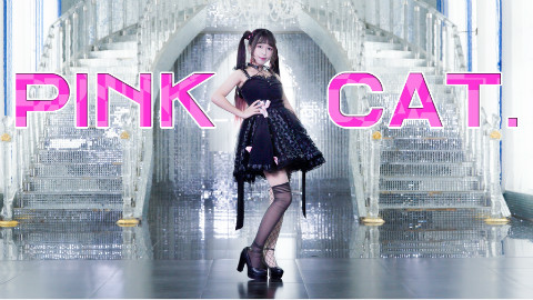【少少】❤ PINK CAT❤单人重置☆☆12cm的滑板鞋(滑稽)☆☆☆