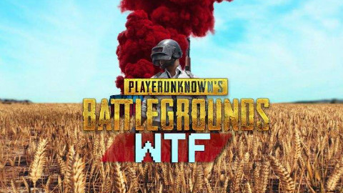 「绝地求生」PUBG Funny WTF Moments Highlights Ep 171