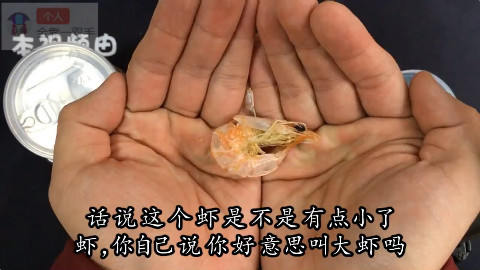 男子《贪便宜》网上12.9包邮买《海捕大虾》干,开箱后十分生气,这也能叫大虾?