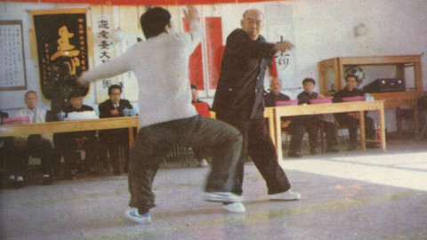 太极大师闫芳师父,李经梧晚年太极表演,这才是真功夫