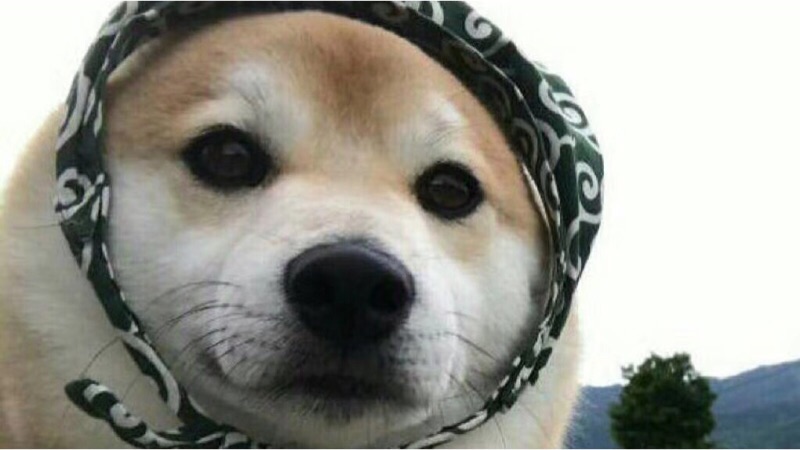 绝地求生精彩集锦