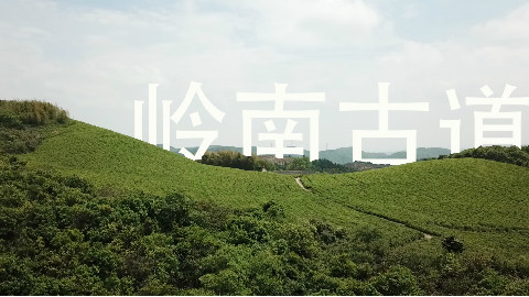 岭南古道·东钱湖风景区·航拍#斯科腾带你飞#
