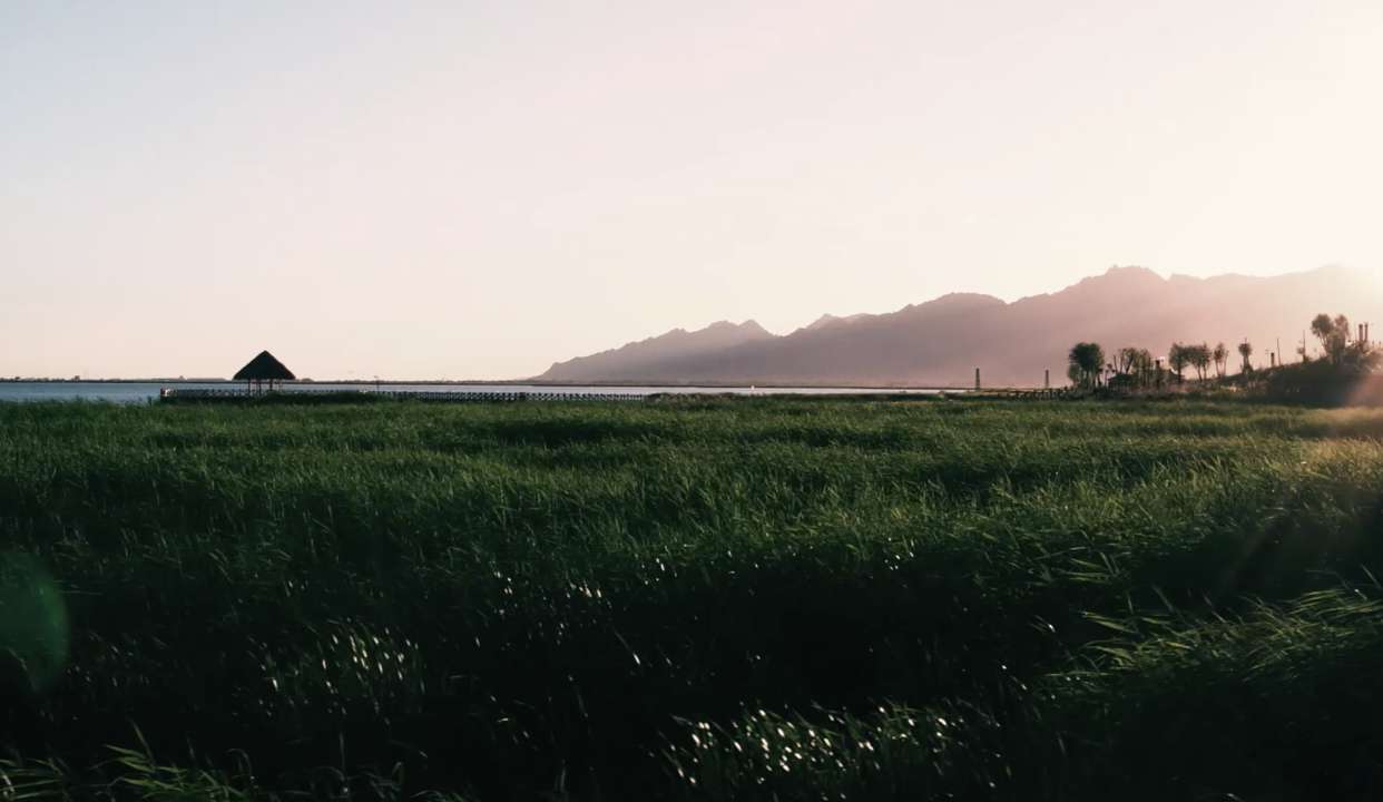 情归北疆,车行天路